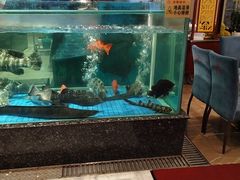 -聚福宝合苑食府(南头镇店)