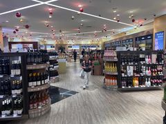 -谢列梅捷沃国际机场