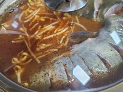 -弘烨 贵州酸汤 鱼火锅(东财店)