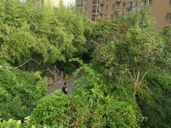 -竹吟山房
