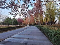 -东升八家郊野公园