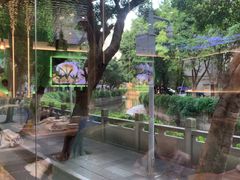 -探窝·竹笙椰子鸡(杨箕店)