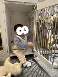 -奈尔宝·儿童乐园·亲子餐厅(华采天地店)