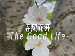 -苏州湾体育公园