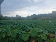 -上野公园花园稻荷神社(忍岡稲荷神社)