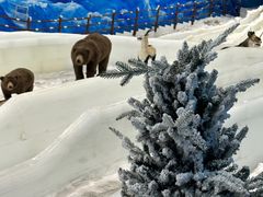 -世界之窗阿尔卑斯冰雪世界