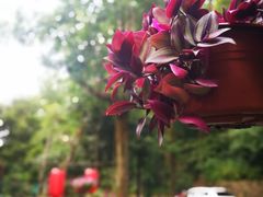 -国生茶庄·地道农家菜团建活动