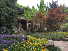 -汇龙潭