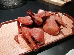 -羽鸽集·乳鸽专门店·地道顺德菜(岭南站店)