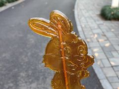 -杭州动物园