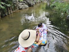 -羊山湖公园