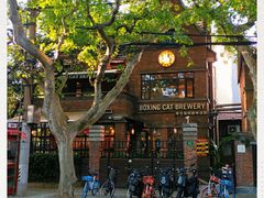 -Boxing Cat Brewery拳击猫精酿啤酒馆(永福店)