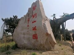 -紫金山山顶公园
