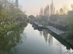 -三垟湿地