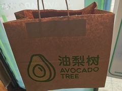 -油梨树AVOCADO TREE(顺义新国展店)