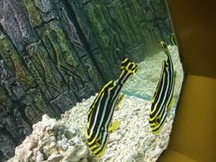 -北戴河圣蓝海洋公园