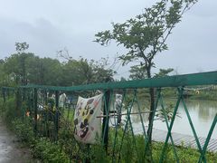 -暮谷MUGO ·团建聚会·露营烧烤·生日派对·共享菜地