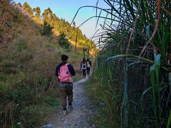 -黄埔油麻山森林公园