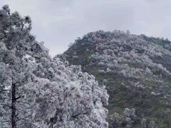 -安溪清水岩