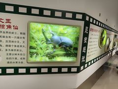 -上海昆虫博物馆