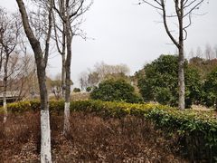 -江滩湿地公园