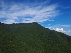 -东天目山风景区