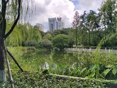 -绵阳人民公园(涪城区)