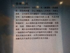 -九龙公园