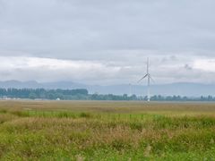 -野鸭湖国家湿地公园