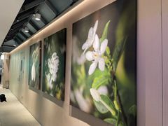 -奈雪的茶(赛格店)