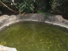 -龙达温泉生态城