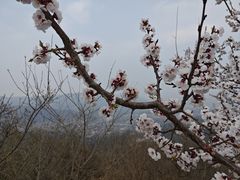 -香山公园