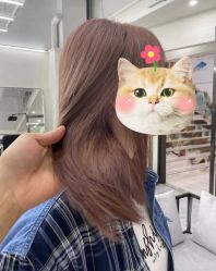 -Moyue HAIR SALON