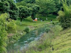 -两河城市森林公园