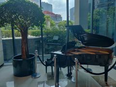 -上海龙之梦万丽酒店