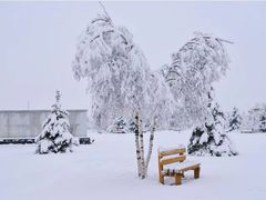 -塞罕坝国家级自然保护区
