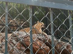 -大连森林动物园