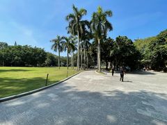 -深圳仙湖植物园