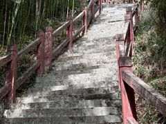 -广州白江湖森林公园