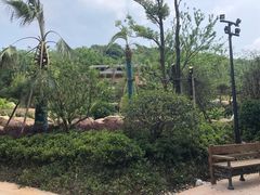 -杭州开元森泊度假乐园