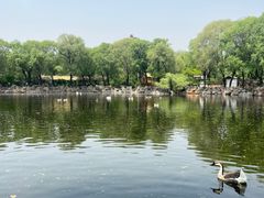 -石家庄市动物园