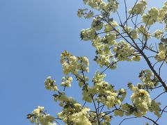 -苏州上方山国家森林公园