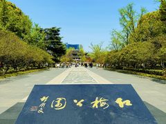 -红梅公园