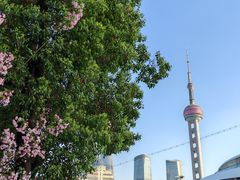 -北外滩滨江绿地