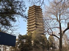 -博雅塔