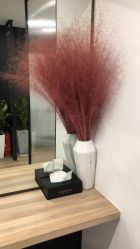 -Garden花園造型