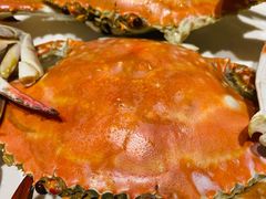 梭子蟹-北塘海鲜·天津菜(大光明桥旗舰店)