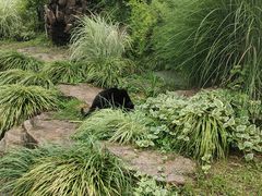 -上海佘山国家森林公园天马山园