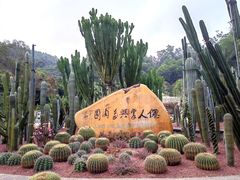 -深圳仙湖植物园