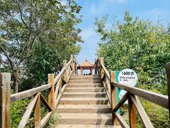 -大岭沟猕猴桃谷风景区